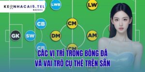 Các Vị Trí Trong Bóng Đá Và Vai Trò Cụ Thể Trên Sân
